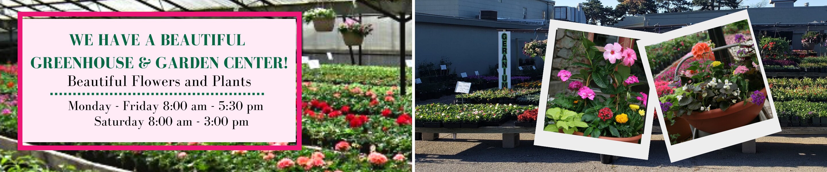 Oklahoma City Florist Flower Delivery by Morrison Floral & Greenhouses